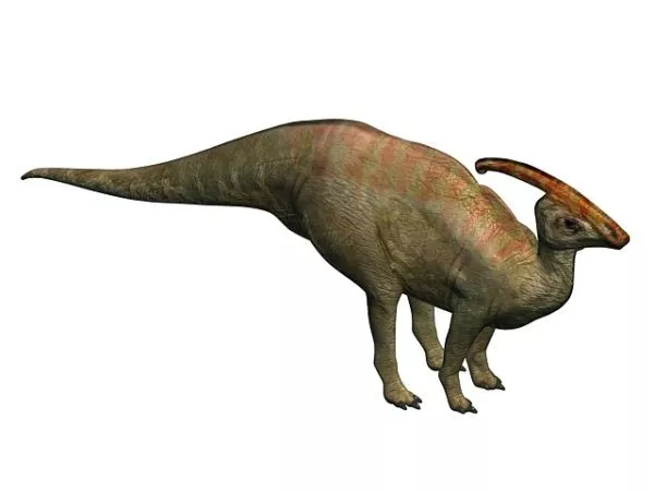 Tyrannosaurus Rex Dinosaur Rigged 3d model