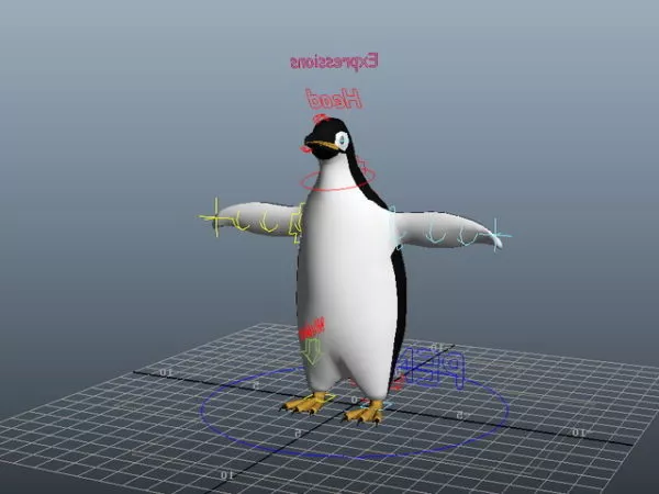 Realistic Toucan Bird 3d model