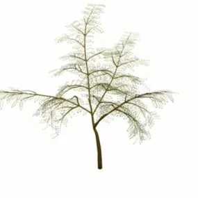 Persian Silk Tree 3d model