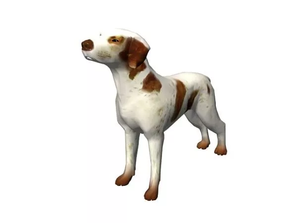 Animal Pet Dog 3d model Animal Pet Dog 3d model