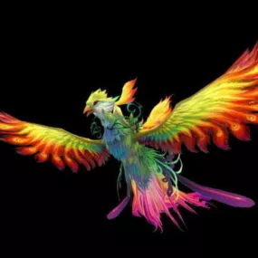 Phoenix Bird 3d model