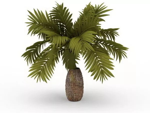 Realistic Pineapple 3d model