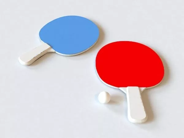 Table Tennis With Ball 3d model