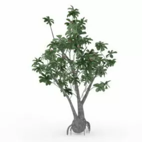 Pink And Green Blossom Tree 3d model