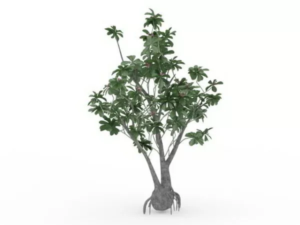 Pink And Green Blossom Tree 3d model Pink And Green Blossom Tree 3d model