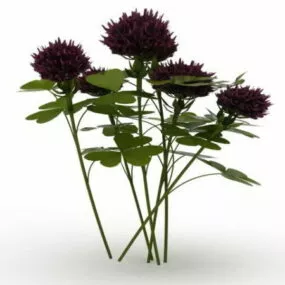 Pink Clover Plant 3d model