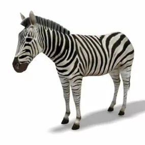 Plains Zebra Animal 3d model