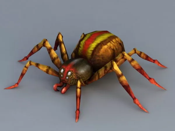 Poisonous Spider 3d model Poisonous Spider 3d model