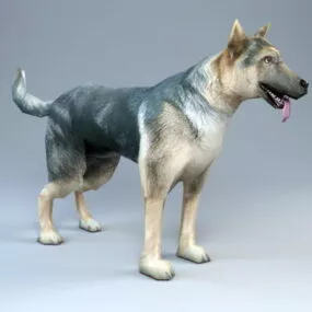 Police Dog 3d model