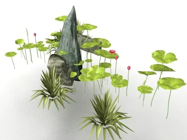 Pond Lotus Flower And Rockery 3d model Pond Lotus Flower And Rockery 3d model