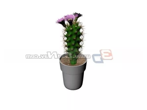 Potted Cactus Plant 3d model Potted Cactus Plant 3d model