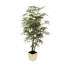 Potted Bamboo Plant 3d model