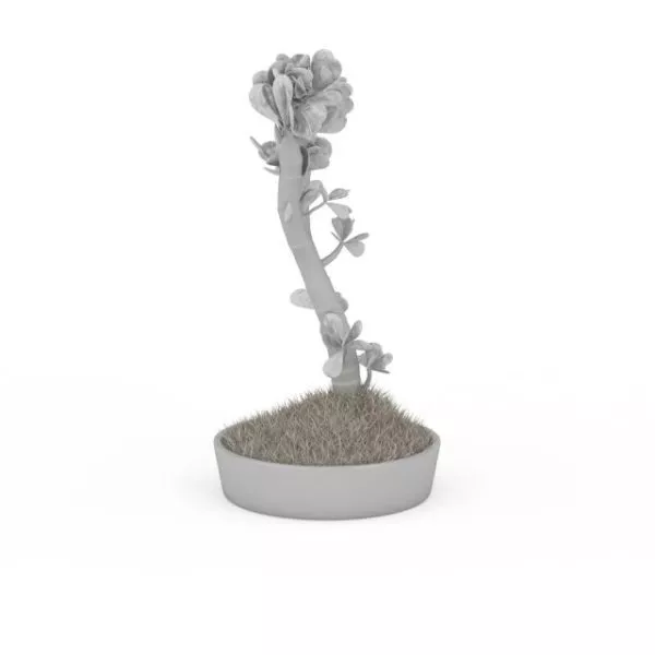 Potted Bonsai Tree 3d model Potted Bonsai Tree 3d model