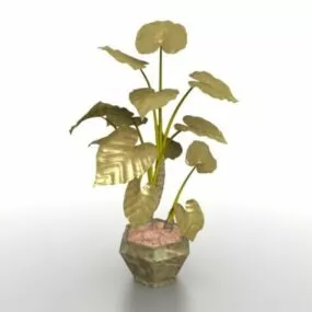 Potted Elephant Ear Plants 3d model