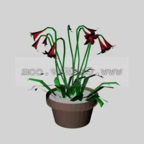 Potted Flowers Plant 3d model