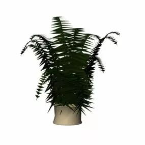 Potted House Plant 3d model