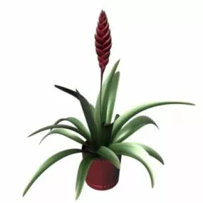 Potted Hyacinth 3d model