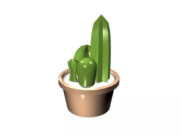Potted Indoor Cactus 3d model Potted Indoor Cactus 3d model
