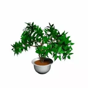 Potted Landscape Plant 3d model