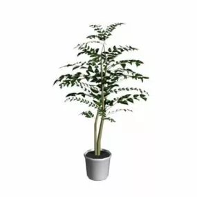Potted Landscape Tree 3d model