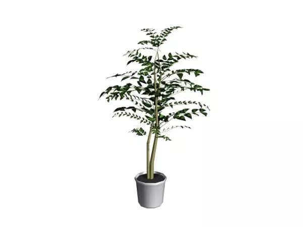 Potted Landscape Tree 3d model Potted Landscape Tree 3d model