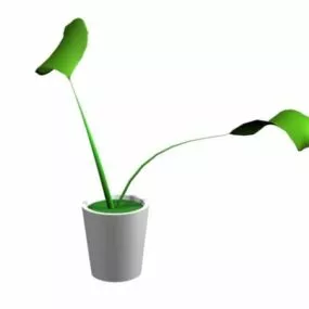 Potted Ornamental Plant Landscape 3d model