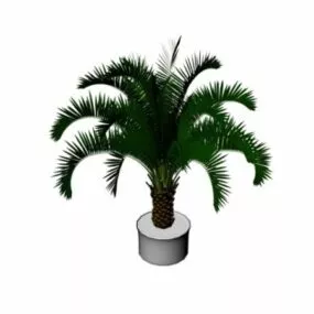 Potted Palm Plant 3d model
