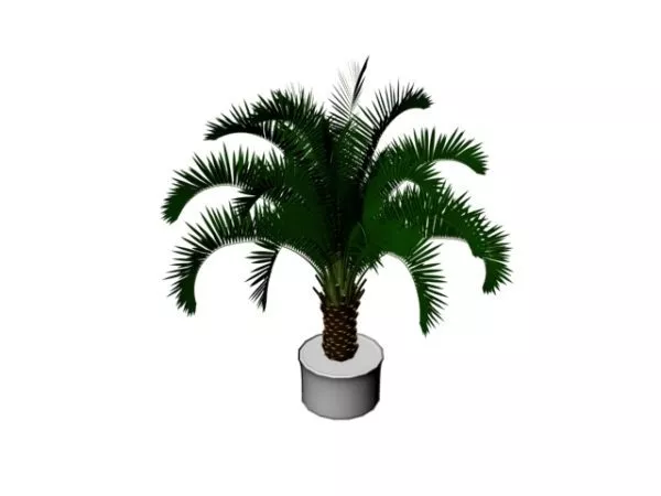 Lowpoly Palm Trees On Beach 3d model