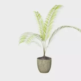 Potted Palm Tree 3d model