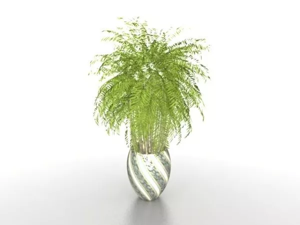 Potted Palm Trees 3d model Potted Palm Trees 3d model