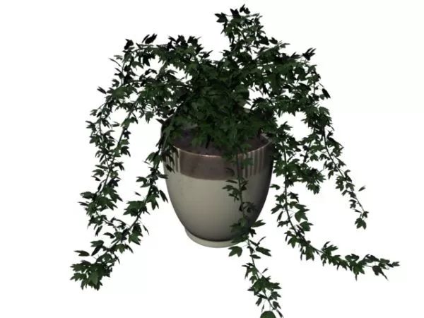 Potted Patio Plant 3d model Potted Patio Plant 3d model