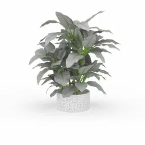 Potted Plant 3d model