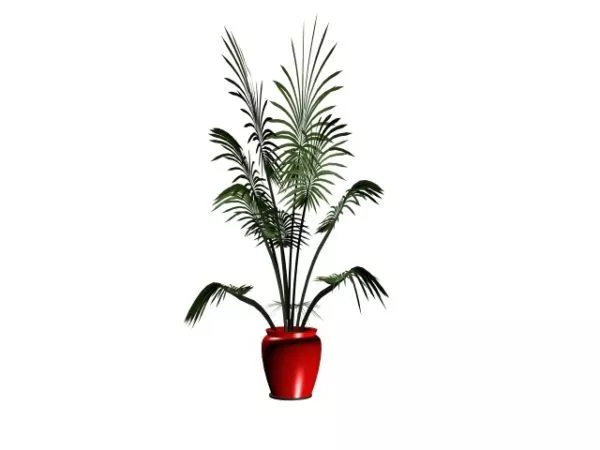 Japanese Bonsai Decoration 3d model