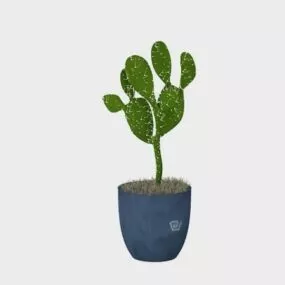 Potted Plant Cactus 3d model