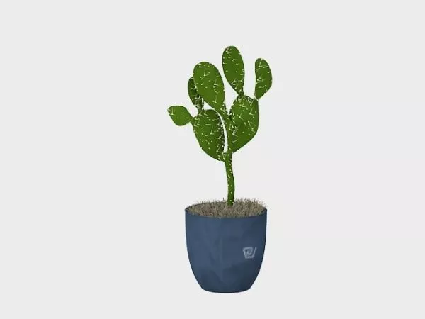 Cactus Plant Pot On Table 3d model