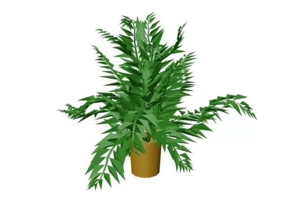 Potting Up Green Plants 3d model Potting Up Green Plants 3d model