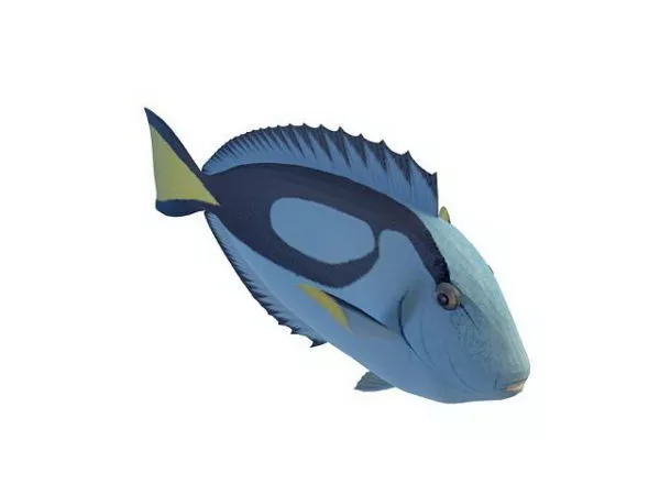 Aquarium 3d model