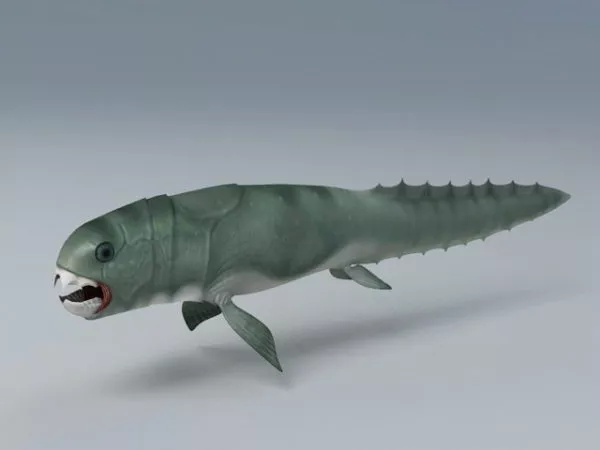 Prehistoric Fish 3d model Prehistoric Fish 3d model