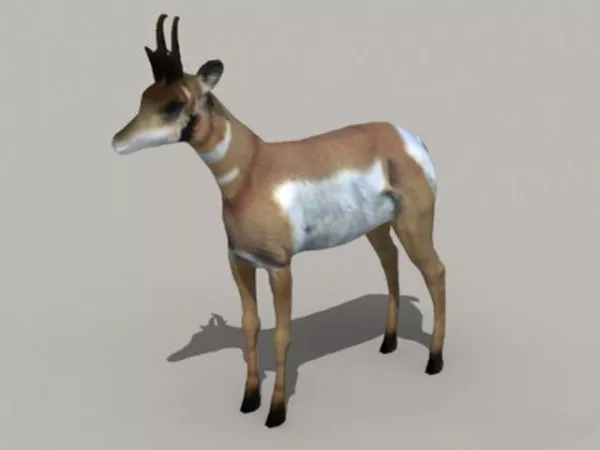 Giant Sheep Ancient Statue 3d model