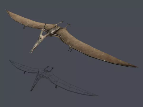 Pterodactyl Dinosaur 3d model Pterodactyl Dinosaur 3d model