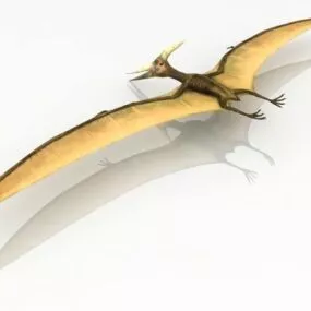 Animal Pterosaur Flying Dinosaur 3d model
