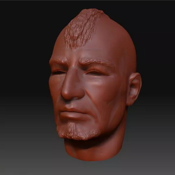 Punky Man Head Sculpt Mesh 3d model Punky Man Head Sculpt Mesh 3d model