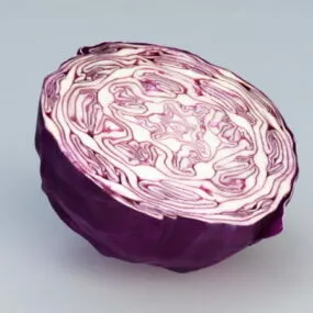 Purple Cabbage 3d model
