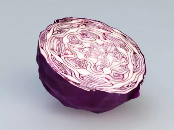 Purple Cabbage 3d model Purple Cabbage 3d model