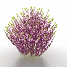 Purple Shrubs For Landscaping 3d model
