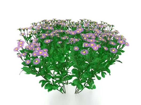 Sunflower Field Flower Plant 3d model
