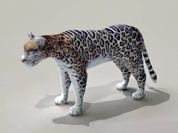Snow Leopard V1 3d model