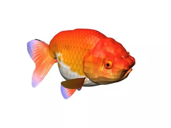 Aquarium With Terrain Under Water 3d model