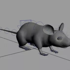 Rat Mouse Rig 3d model