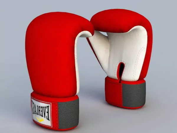 Leather Gloves 3d model